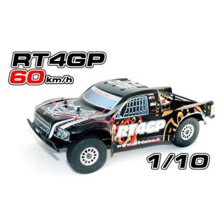 10   Achat / Vente RADIOCOMMANDE TERRESTRE Rally Desert Truck 1/10