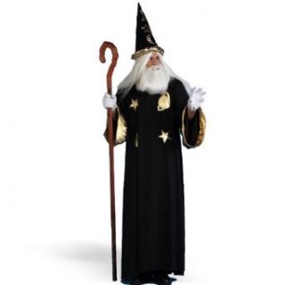 Celestial Wizard Adult   Standard One Size   Adult