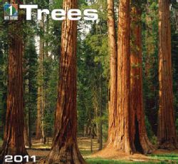 Trees 2011 Calendar (Calendar)