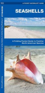 Seashells A Folding Pocket Guide to Familiar North American Species