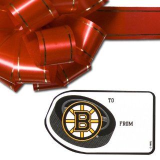 NHL Boston Bruins Team Gift Sticker Sheet Sports