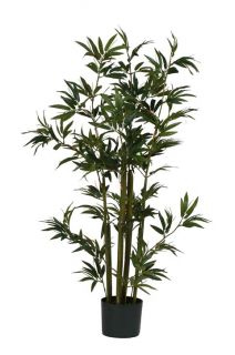 Bamboo Silk Plant (48 in. Tall)