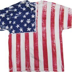 FR101   Frank Allover American Flag Vertical T Shirt