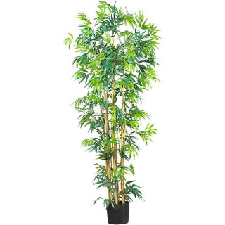 Trees Silk Plants: Buy Decorative Accessories Online