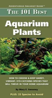 The 101 Best Aquarium Plants How to Choose Hardy, Vibrant, Eye
