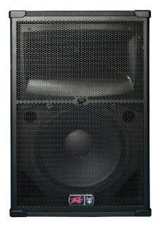 Peavey SP 2 2 Way 15 Speaker Enclosure Musical