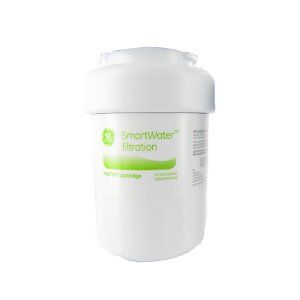 GE SmartWater MWFINT International Refrigerator Water Filter, 1 Pack