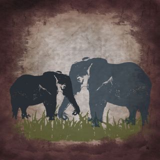 Ankan Vintage Elephants Gallery wrapped Canvas Art