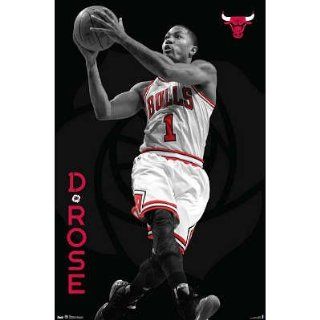 (22x34) Derrick Rose   Chicago Bulls Basketball Poster