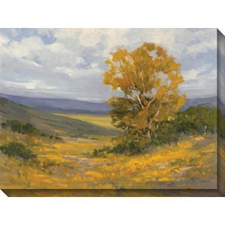 Kim Coulter Cottonwood II Giclee Canvas Art