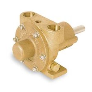 Dayton 4UN81 Pump, Flexible Impeller